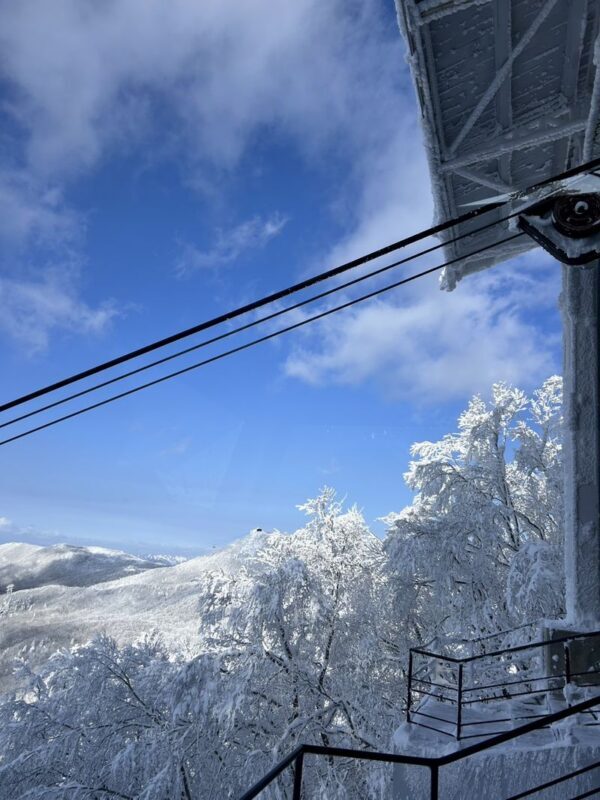 Sendai Zao Snow Monsters & Ginzan Onsen Day Tour - Pack for cold, crowds and a flexible plan