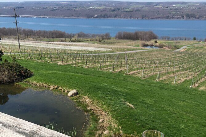 Seneca Lake South Wine Tastings Tour - FAQ