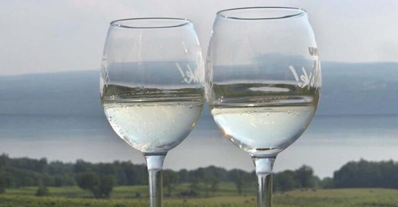 Seneca Lake: Wine Tasting Tour - A Closer Look at the Seneca Lake Wine Tasting Tour