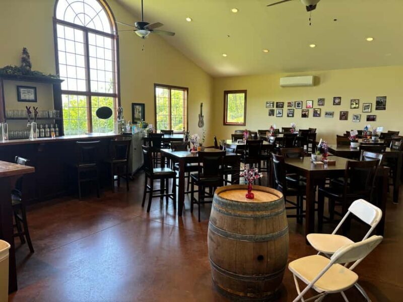 Seneca Lake: Wine Tasting Tour with Lunch - Final Thoughts: Is It Worth It?