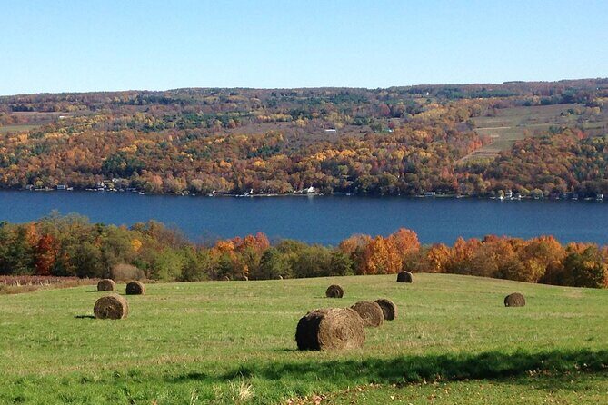 Seneca Lake Wine Tour - Customizable - FAQ