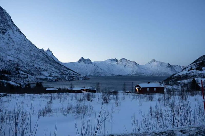 Senja: Full-Day Guided Tour with Husøy and Ersfjord - An In-Depth Look at the Tour Experience