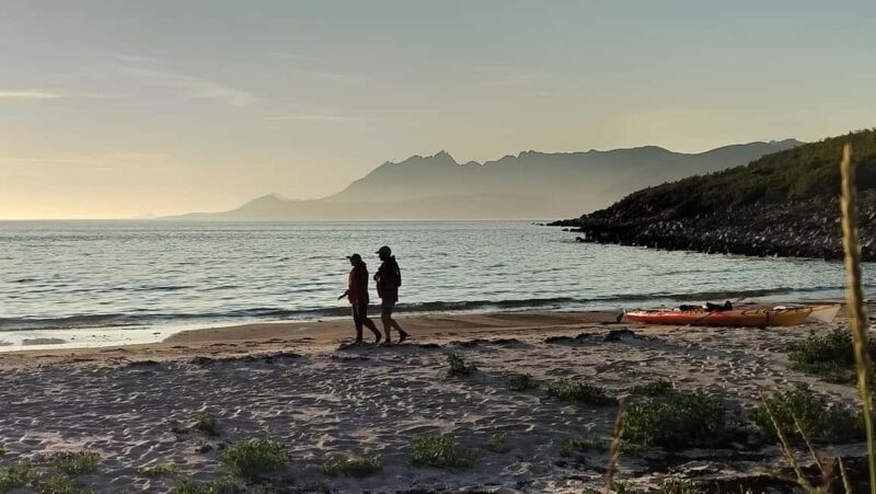 Senja: Guidet Evening Kayak Cruise - An Authentic, Slow-Paced Experience on Norway’s Fjords