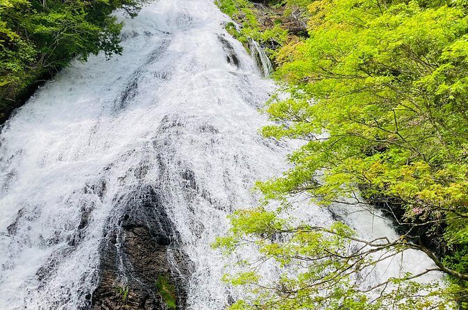 Senjogahara Nature Guide Tour in Nikko - FAQ