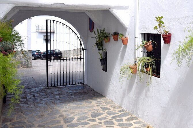 Sensational Setenil by e-bike (full day) - Who Will Love This Tour?