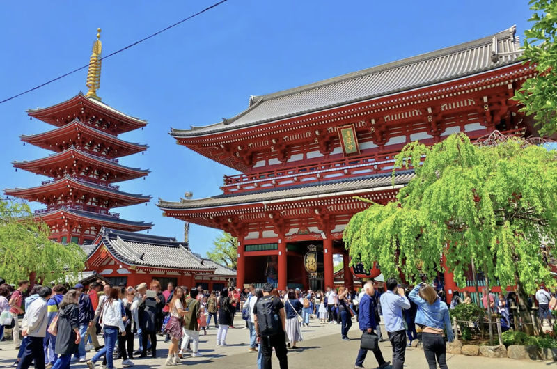 Sensoji Temple & Kappabashi Half-day Cultural & Historical Tour - Sensoji is more than a quick temple stop