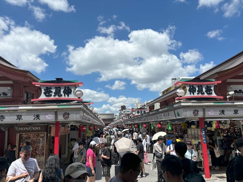 Sensoji Temple & Nakamise Shopping Street Half-day Walking & Street Food Tour - Booking and Practical Details