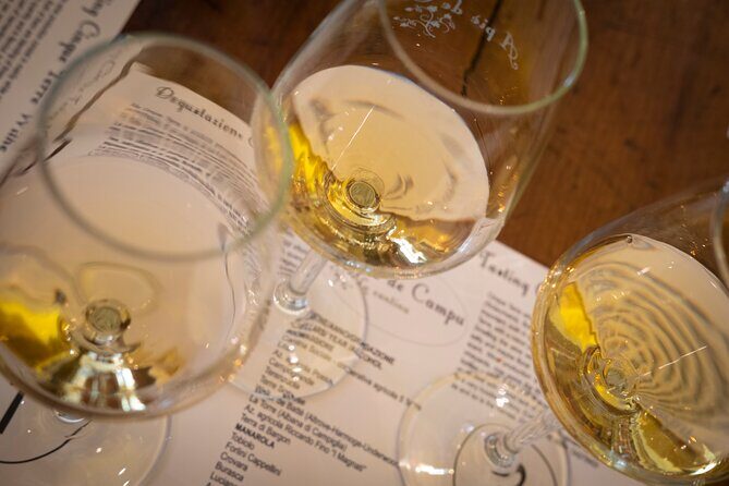 Sensorial wine tasting in Manarola, Cinque terre - Sensorial Wine Tasting in Manarola, Cinque Terre
