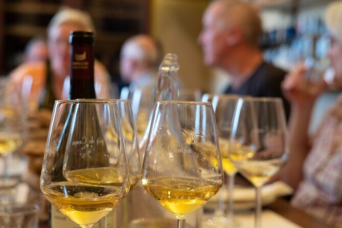 Sensorial wine tasting in Manarola, Cinque terre - The Sum Up