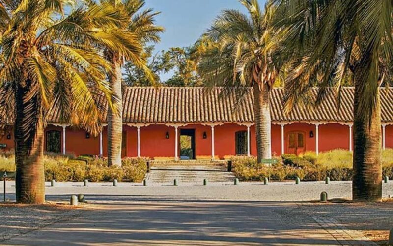 Sensory Journey: Visit to the Santa Rita vineyards - Practical Details and What to Expect