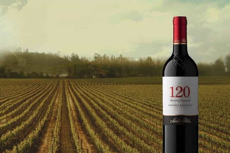 Sensory Journey: Visit to the Santa Rita vineyards - The Experience on the Ground