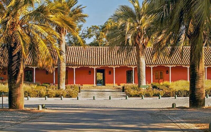 Sensory Journey: Visit to the Santa Rita vineyards - Authenticity & Cultural Significance