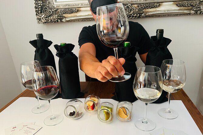 Sensory Tasting to Discover Wine with the 5 Senses - Dive into a Truly Unique Wine Experience in Marbella