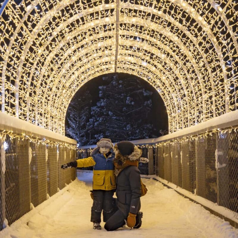 Sentier des cimes Laurentides: Treetop Observatory & Walk - A Full Review of the Laurentides Treetop Experience