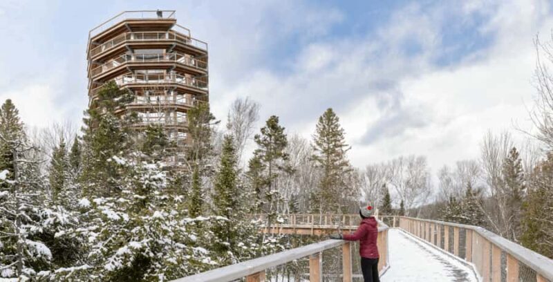 Sentier des cimes Laurentides: Treetop Observatory & Walk - The Sum Up
