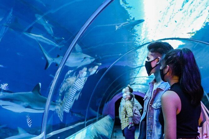 Sentosa Luxe: A Premium Half-Day Island Discovery Tour - An Overview of What You Can Expect