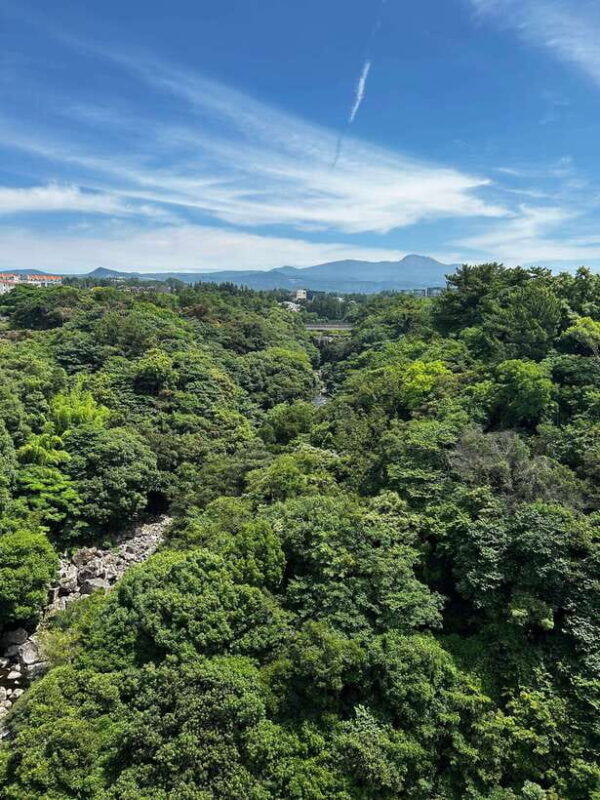 Seogwipo Jungmun Area Walking Tour - Seogwipo Jungmun Area Walking Tour: A Balanced Look at Jeju’s Natural and Cultural Gems