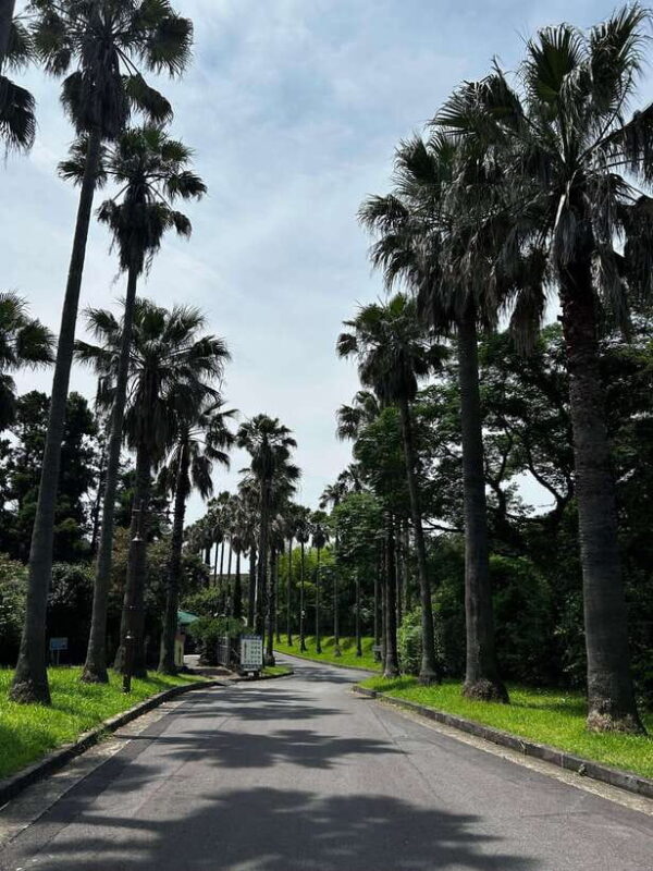 Seogwipo Jungmun Area Walking Tour - Key Points