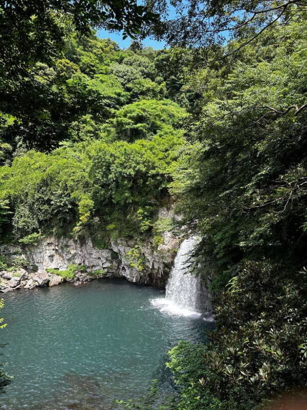 Seogwipo Jungmun Area Walking Tour - Final Thoughts: Is This Tour Worth It?