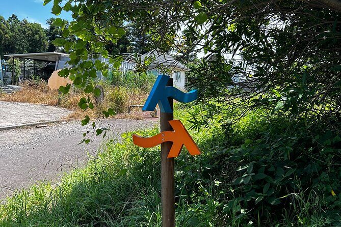 Seogwipo (The Southern City of Jeju) Jungmun Area Walking Tour - Final Thoughts