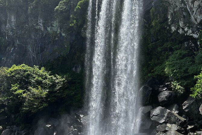 Seogwipo(the southern city of Jeju) Art Museum Walking Tour - Discovering Seogwipo: Art and Nature in Harmony