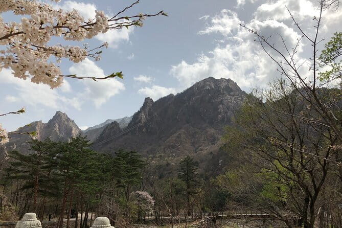 Seoraksan and Cherry Blossom Lake 1 day trip from Seoul - Key Points