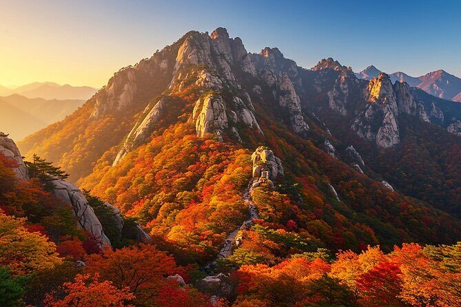 Seoraksan National Park and Goseong DMZ Observatory from sokcho - An In-Depth Look at the Seoraksan & Goseong DMZ Observatory Tour from Sokcho