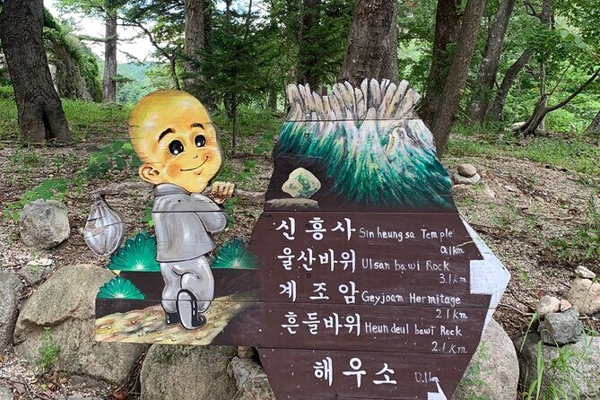 Seoraksan National Park and Goseong DMZ Observatory from sokcho - Who Will Enjoy This Tour?