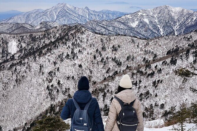 Seoraksan National Park & Nami Island - Experience the Natural Charm of Korea with the Seoraksan & Nami Island Tour