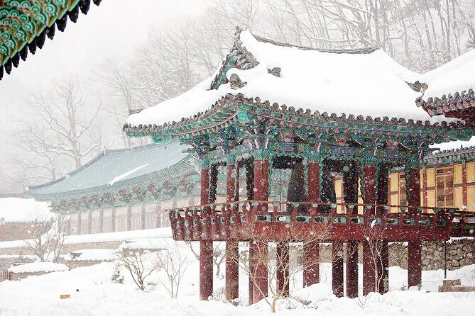 Seoraksan National Park & Nami Island - What Makes This Tour Stand Out?