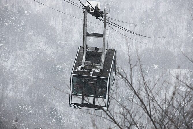 Seoraksan National Park & Nami Island - Who Should Consider This Tour?