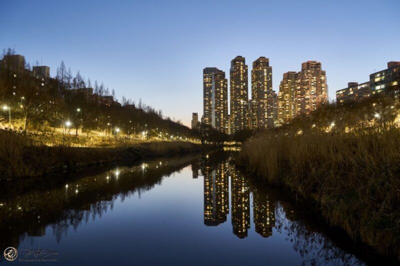 Seoul: 4-Hour Gangnam Walking Tour With Customized Itinerary - A Deep Dive into the Gangnam Experience