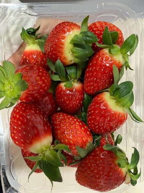 Seoul: Alpaca/Nami/Eobi(+RailBike, Strawberry optional) Tour - Who Will Enjoy This Tour Most?