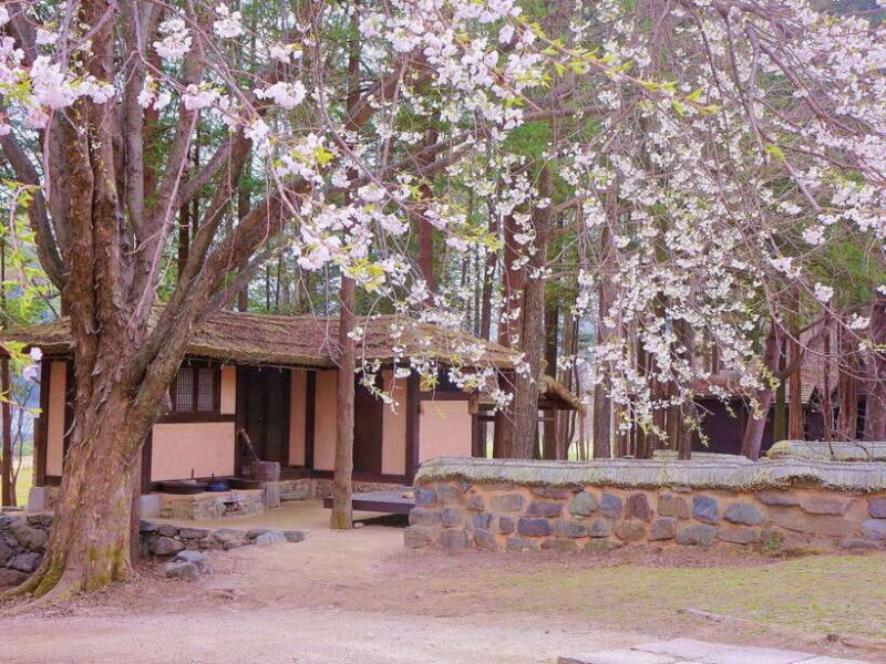 Seoul: Alpaca/Nami/Garden of Morning Calm Tour (+Rail Bike) - Who Should Consider This Tour?