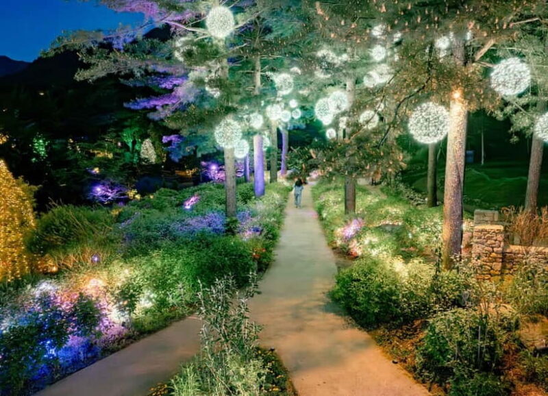 Seoul: Alpaca World and Nami Island (with Garden / Railbike) - Who Will Love This Tour?