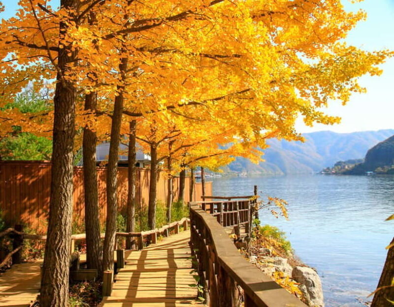 Seoul: Alpaca World & Nami Island (opt. Gangchon Railbike) - A Genuine Look at the Experience