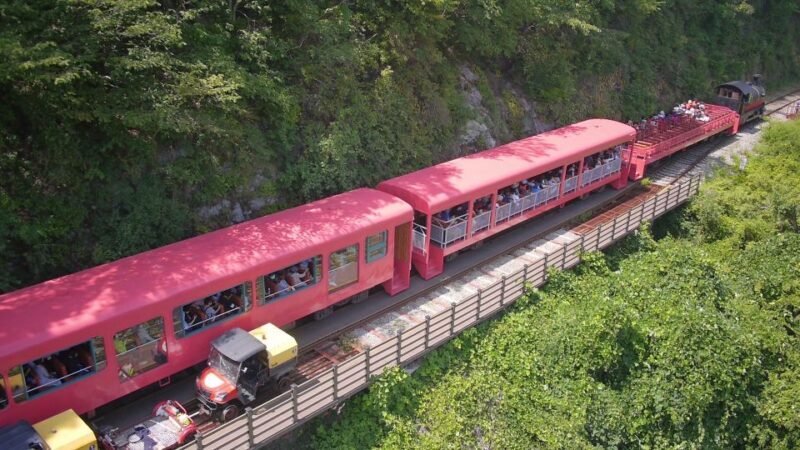 Seoul: Alpaca World & Nami Island (opt. Gangchon Railbike) - FAQ