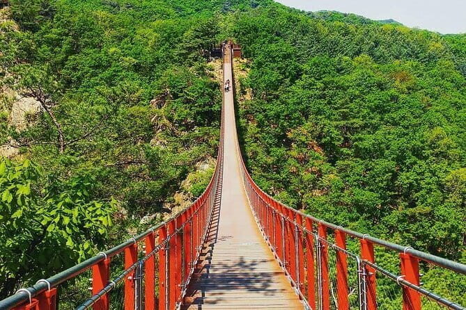 Seoul and Suburbs Private Customized Tour - Exploring the Highlights of Your Private Tour