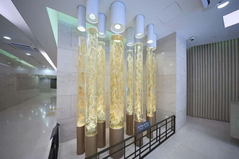 Seoul: Bukchon Village, Gyeongbokgung, Gwangjang Market - Final Thoughts