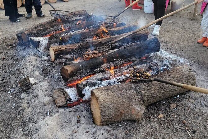 Seoul Cheongyang Alps Village Frozen Ice Wall Tour Pass Ticket - FAQ