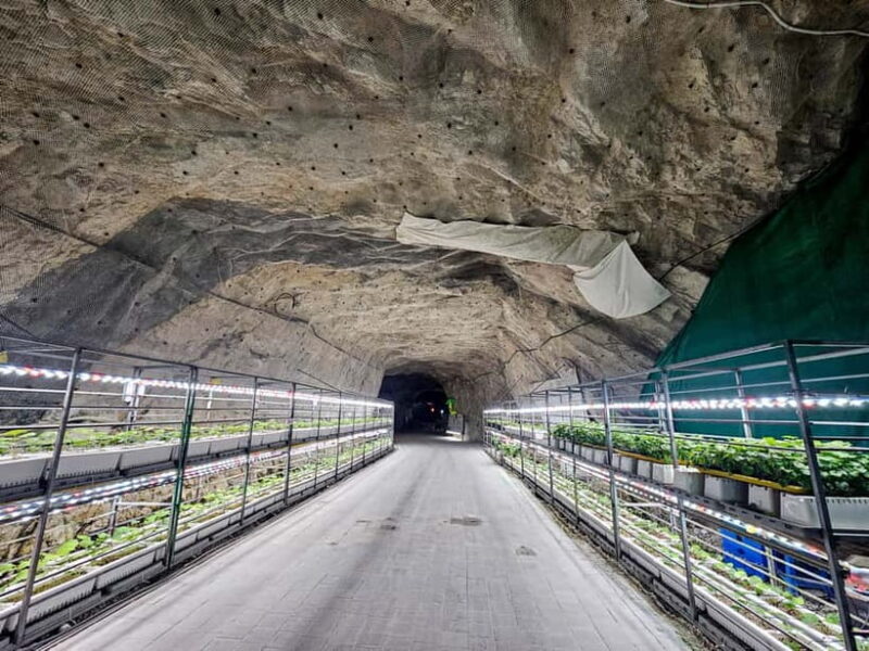 Seoul: Chungju Cruise, Cable Car & Cave Kayak Adventure Tour - FAQ