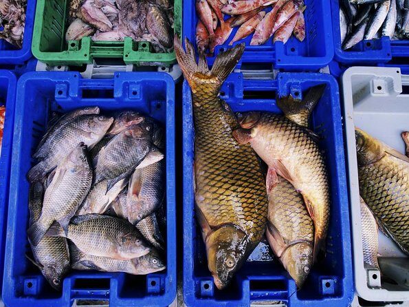 Seoul City Full Day Tour - Changdeok Palace (wearing Hanbok) - Exploring Seoul’s Historic Highlights