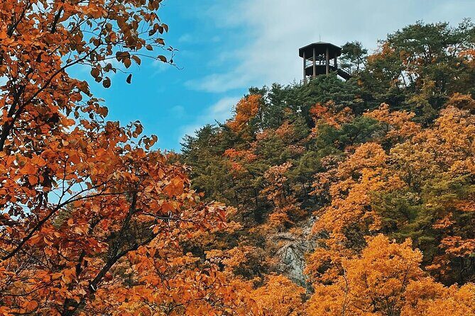 Seoul City Highlights Tour: Hanok Village, Scenic Routes - A Deep Dive into the Experience