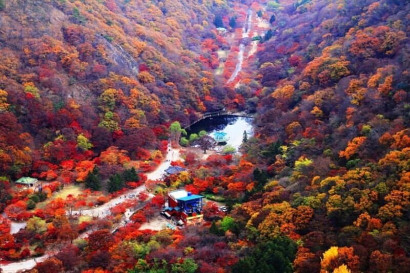 Seoul: Classic Naejangsan National Park Shuttle Bus - Discover the Beauty of Naejangsan on a Comfortable Shuttle Bus Tour from Seoul