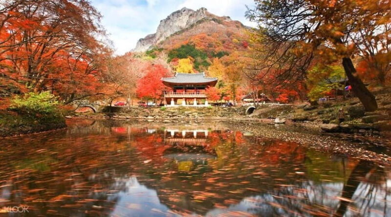 Seoul: Classic Naejangsan National Park Shuttle Bus - Final Thoughts: Is This Tour for You?