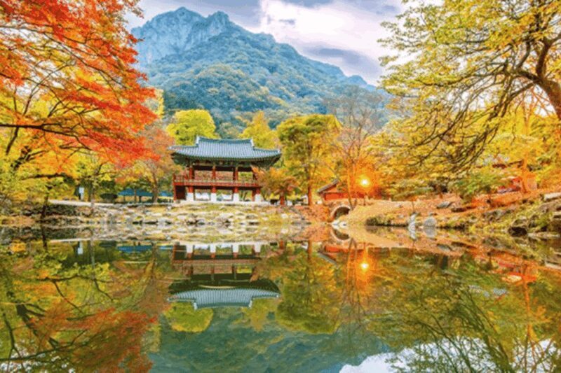 Seoul: Classic Naejangsan National Park Shuttle Bus - Final Verdict