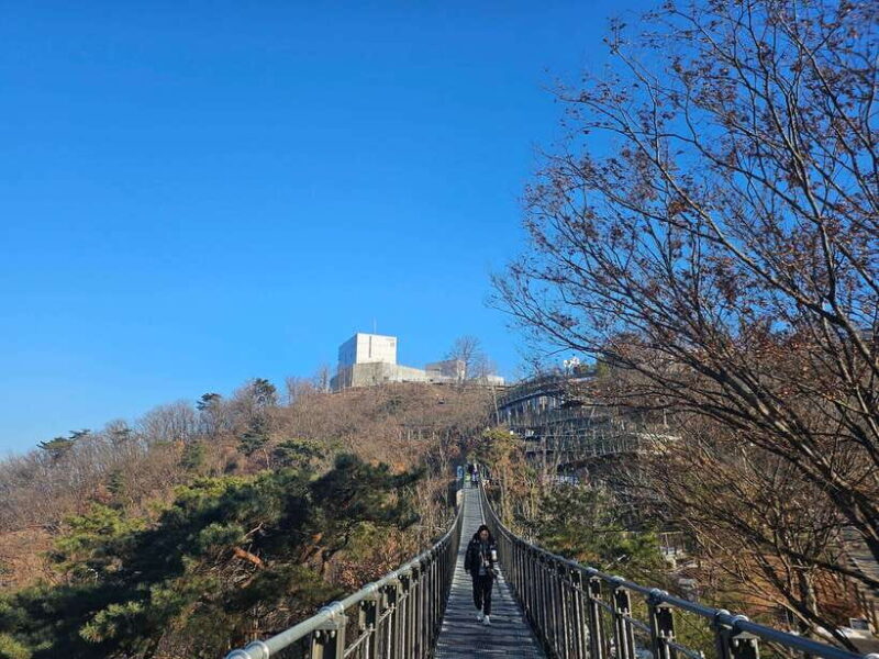 Seoul: Closest DMZ Observatory with North Korea View (1.4km) - Final Thoughts: Is This Tour Right for You?