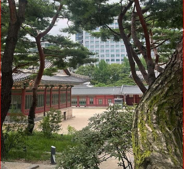 Seoul: Deoksugung Palace Heritage Walking Tour - A Detailed Look at the Tour Experience