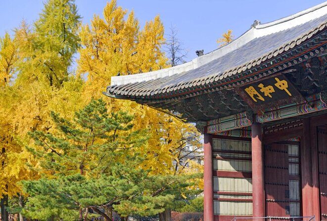 Seoul: Deoksugung Palace Night Tour - FAQs about the Deoksugung Palace Night Tour