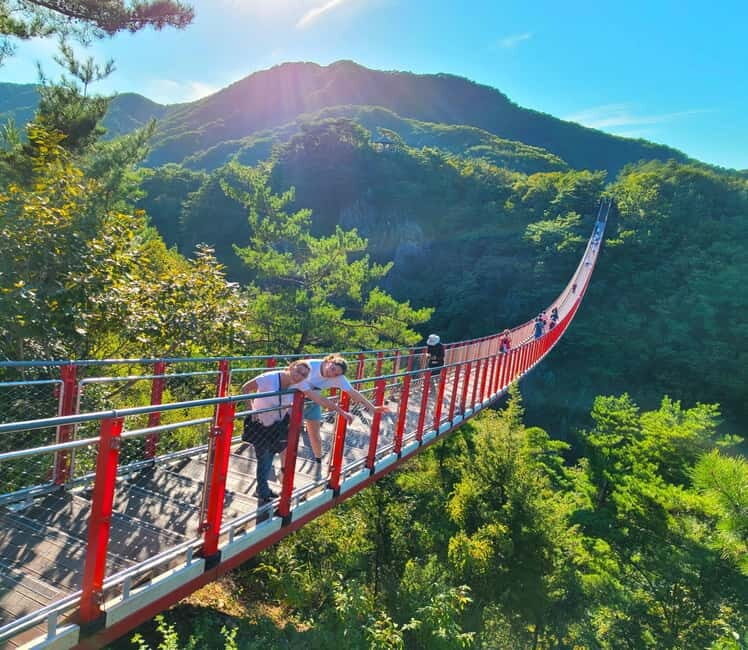 Seoul: DMZ, 3rd Tunnel and Optional Suspension Bridge Tour - An In-Depth Look at the Seoul DMZ Tour